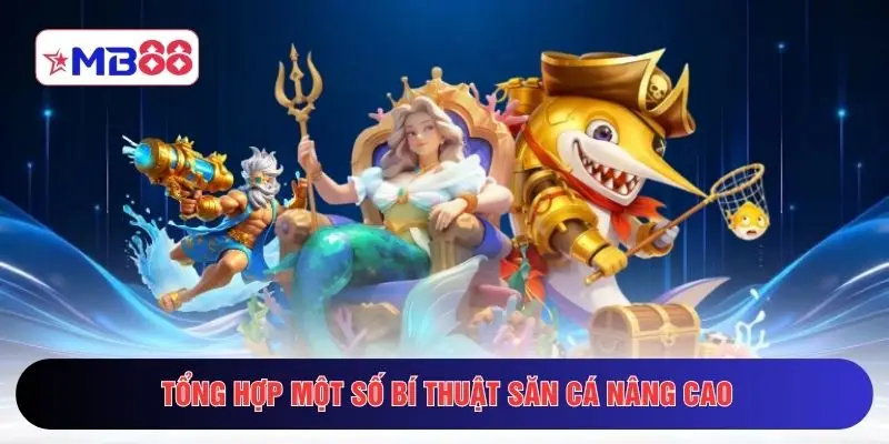 Tổng hợp một số bí thuật săn cá nâng cao